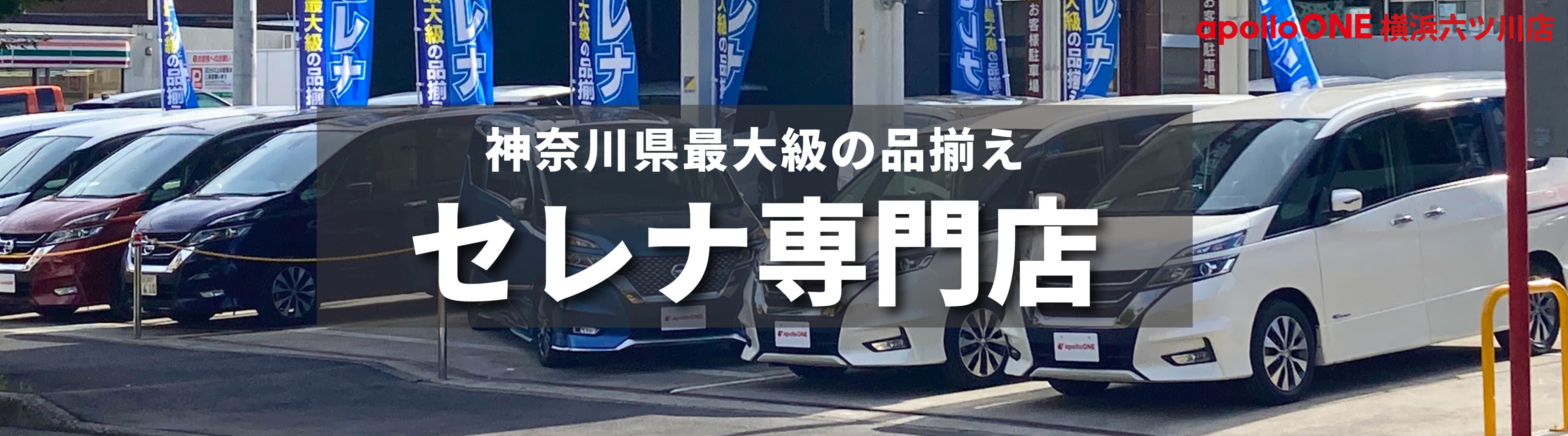 セレナ専門店
